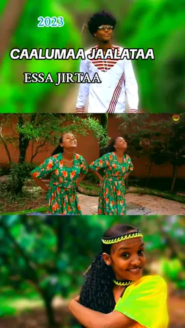 #creatorsearchinsights 