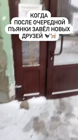 😂🤣#юмор #приколы #подписка #лайк #😂😂😂 