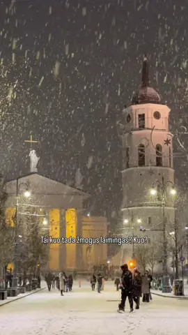 #vilniuscity #lithuania #baltics #wintervibes #snowstorm 