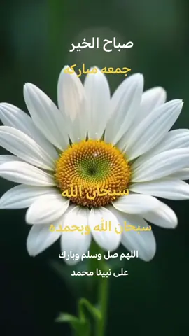 دعاء #دعاء  #اكسبلور  #aleisaei_1  #اكسبلور  #اللهم_صلي_على_نبينا_محمد 