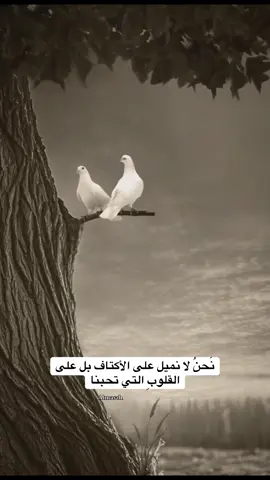#اقتباسات #fypシ゚viral🖤tiktok #foryou #الخريف_والجو_الجميل🍁🍂 #explore 
