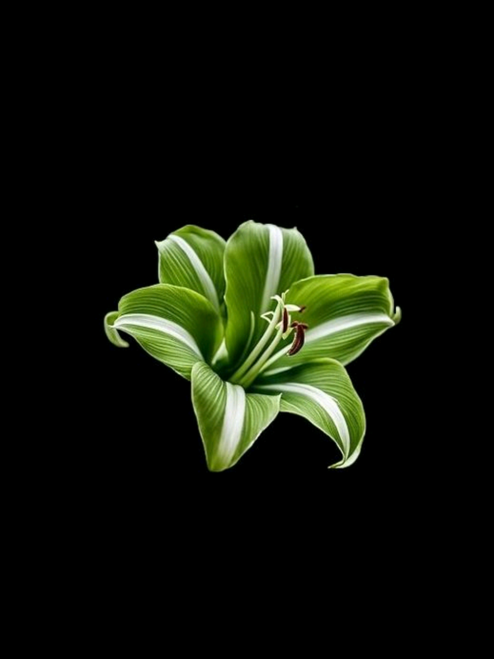 listen before i go:) 🌀💙 گپ تلگرام عضو شین بیو هست لینک .  .  .  #lyrics #lyricvideo #music #fyp #foryou #persianmusic #songlyrics #sadvibes #tiktokmusic 