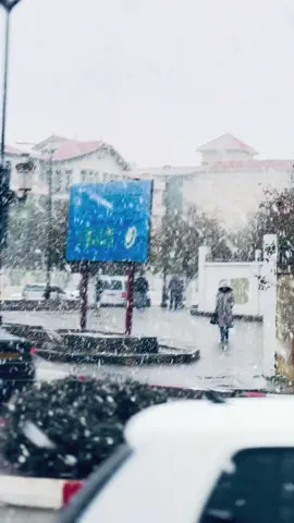 Adam ✨🤴🏻 #eleulma_49 #شعب_الصيني_ماله_حل😂😂 #سطيف_العلمة #فرنسا🇨🇵_بلجيكا🇧🇪_المانيا🇩🇪_اسبانيا🇪🇸#شتاء_البرد_اجواء_شتويه @هد يييل 🕊️🤍@هد يييل 🕊️🤍