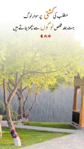 مطلب کی کشتی پر سوار لوگ بہت جلد مخلص لوگوں سے بچھڑ جاتے ہیں#fyp #deeplinespoetry🥀 #cupcut #viralvideo 