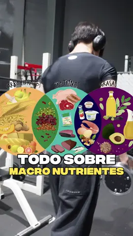 Todo sobre MACRO NUTRIENTES  #gym #bodybuilding #alimentacion #macronutrients 