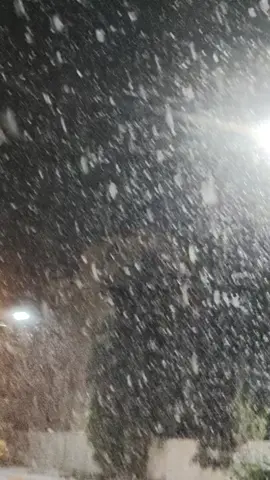 #شتاء #ثلج #سطيف_العالي_ٱخاالي #setif______19 #explore 