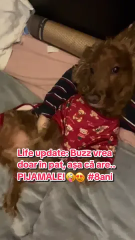 și-a fost si ziua lui naștere, la mulți ani, iubire curată! ❤️🎂 