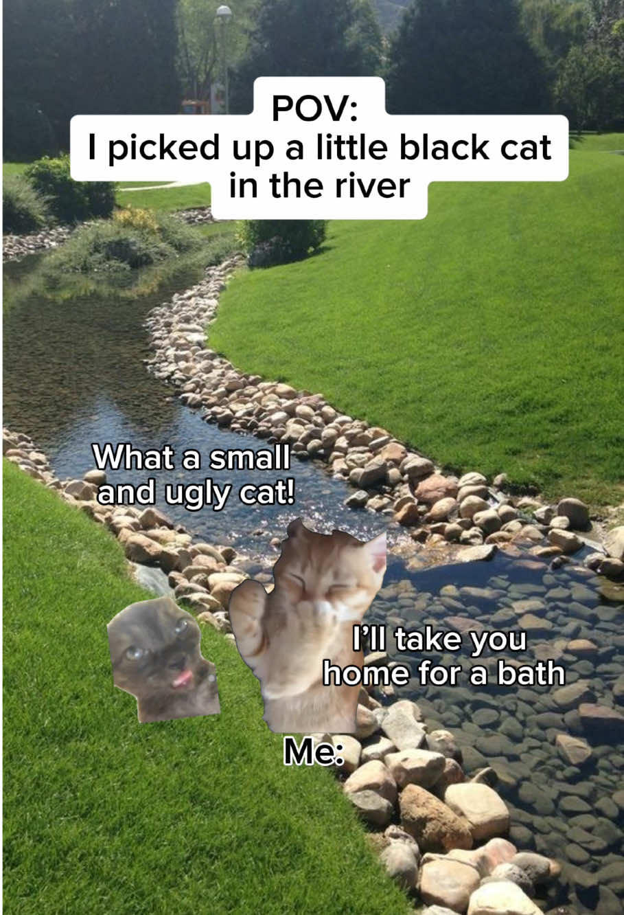 Based on a real story❤️‍🩹 #catmeme #relatable