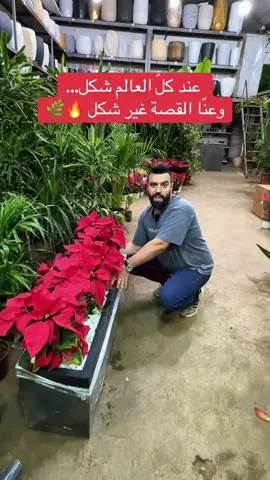 A look that hits different — the story changes here 🌿✨ 🌿 Artificial & Real Plants with Planters ✨ 📍 Jnah – Beirut 📞 +961 70 740 771 #azharlara #plants #decor #beirut #lebanon