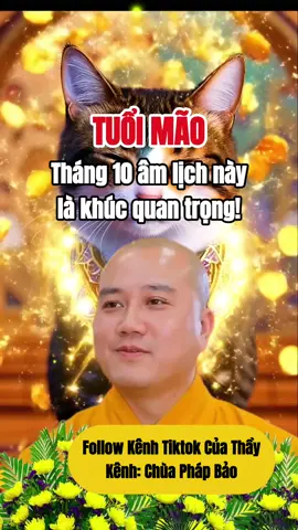 Tuổi Mão tháng 10 âm lịch này là khúc quan trọng, con phải thật chú ý  #tuoimao #tamlinhhuyenbi #phongthuytamlinh #tuvisomenh #tailoc 