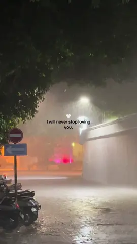 I will never stop loving you.