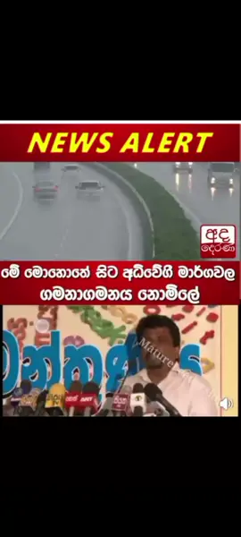 #typ #viralvideo #fouryoupage #trending #namalrajapaksa 