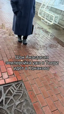 #рек#анастасия#землеройка#тверь