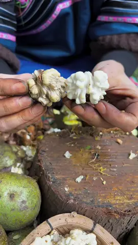 #creatorsearchinsights  #noce #noix #nuez #walnut  walnüsse knacken ohne dass sie kaputt zu machen