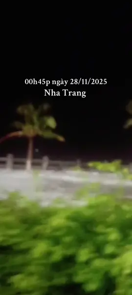 😵‍💫😵‍💫 Sóng dữ dội quá _ Bão Koto số 15 còn chưa vào mà ! mong mọi người Bình An _ mong bão tan ngoài biển đông đi ạ !! #nhatrangbeach #bãokoto #bão#baoxggió #bãolụtmiềntrung 