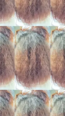 Dia de salão, transformando autoestima 🥰😍💕#letmebe #progressivaorganica #manaus @Let Me Be Shop #foryou 