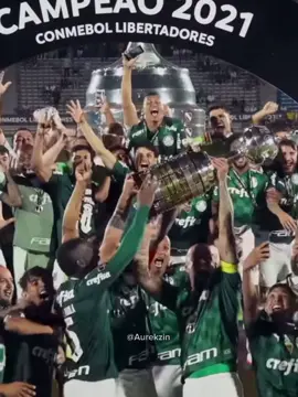 👀💚 #palmeiras #flamengo #libertadores #2025 