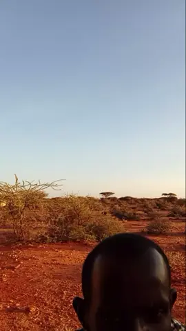 #🥁🎻🎤  #foryoupage 