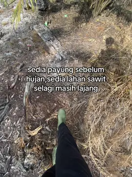 tua biar nyantai🤪#sawit #xyzbca #sawittiktok🌴 #fypシ 