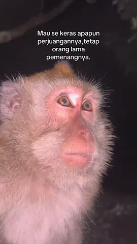 Sabar nyet#fyp #fypシ゚ 