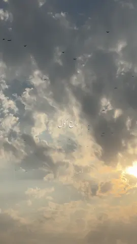 راح اكول طيفك أجاني 😔❤️‍🔥.     #باسم_الكربلائي #كلشي_راح_لحضة_غيابك #العراق_السعوديه_الاردن_الخليج #foryoupage 