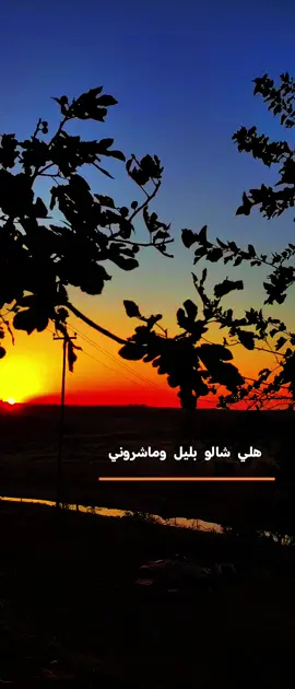 مجرد_____ذوووق❤️#هلي شالو بليل وماشروني#محمودالحياني#تصويري📷 #تصميم_فيديوهات🎶🎤🎬 #تصويري_احترافي_الاجواء👌🏻🕊😴 