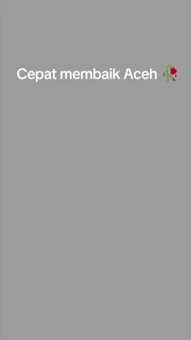 Putusnya jembatan semoga tidak menjadi putusnya pemasukan makanan ke daerah tersebut, semua di landa musibah dan kedai² terpantau tutup, + mati lampu dan makanan susah untuk di dapatkan solusi untuk saat ini hanya mie instan.