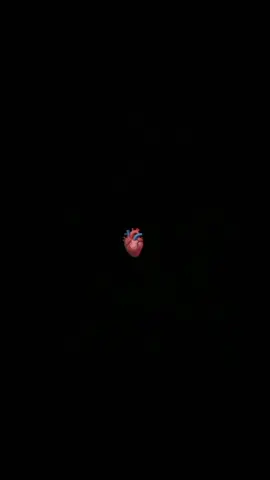 🥹_💔_😢 #_________💔___________foryoupage  #fyp__viral__my___video__tiktok #pleasemytiktokaccountunfrezforyoupage #fyppppppppppppppppppppppppp #viralmyvideoplztiktokteam🙏 