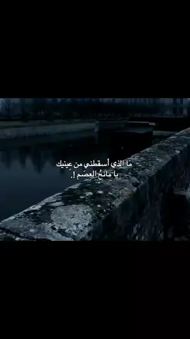 قناة التلي موجوده بالبايو . #أنجيل 