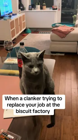 Cats will be the first to rise against the machines #catsoftiktok #catfunny #KitchenHacks #clanker 