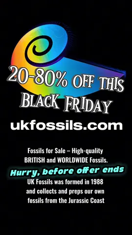 Black Friday deals are LIVE! 20–80% OFF fossils at ukfossils.com Limited stock. Don’t miss out! #blackfriday #xmas #sale #fossils #xmasgift 