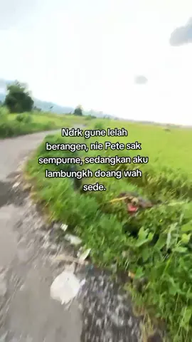 #katakatasasak #katakatalombok🌴 #lomboktiktok #lagusasaklombok #bismillahfyp #sasaklombokviral🥀 #fyppppppppppppppppppppppp #bismillahrame