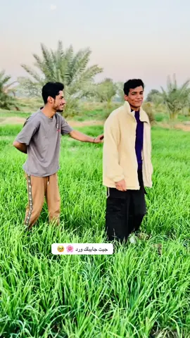 @منتظر_خليجيات 💭 والد الريف من يوصلهم الترند😹😹💔#مليون_مشاهدة❤ #مليون_مشاهدة❤ #اكسبلوررر #جيت_جايبلك_ورد🌸🥹 