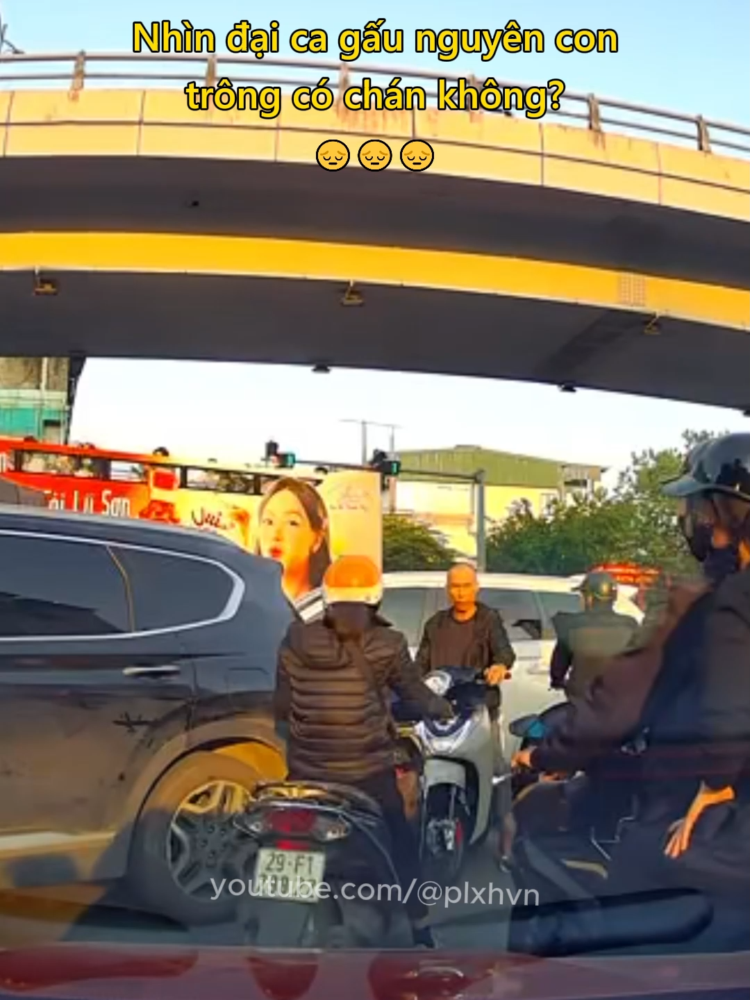 Nhìn đại ca gấu nguyên con trông có chán không?😔 #giaothong #vanhoagiaothong #giangho #luatgiaothong #plxhvn #phapluatxahoi