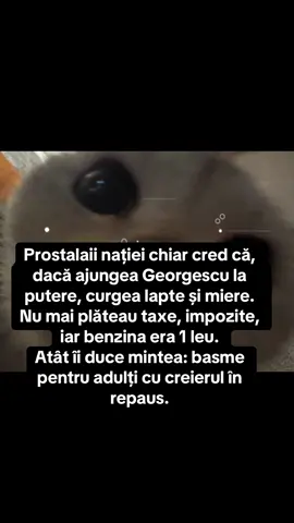 Ăștia nu-și mai revin #romania🇹🇩 #suveranistidedoibani #patrioti #foryouromania🇹🇩 