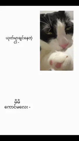 ဟုပ်တယ်မလား👀 #fyp #fyppppppppppppppppppppppp #fortoupage #viral #like 