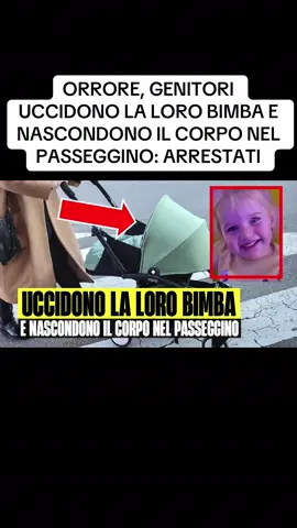 #AndiamoNeiPerTe #flashtv #neiperte #cronaca #perte 