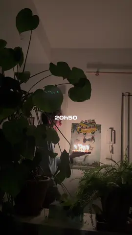 vlog de mardi 😛 #timestamped 