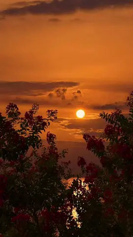 താരാപഥം ചേതോഹരം പ്രേമാമൃതം പെയ്യുന്നിതാ നവമേഘമേ കുളിർകൊണ്ടു വാ ഒരു ചെങ്കുറിഞ്ഞി പൂവിൽ മൃദുചുംബനങ്ങൾ നൽകാൻ #favourite #music #Malayalam 