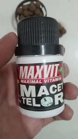 #jamumerpati #merpati #merpatikolong #meepatikolongbebas #merpatibalapindonesia 