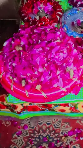 #viral #foryoupage #fyp #viral #foryoupage 🥰🥰🥰🥰🥰🥰