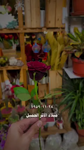 في مثل هذا اليوم، وُلد نورٌ ما زال أثرُه حيًّا في قلوبنا.. حيٌّ فينا 🥀