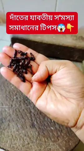 #🇧🇩🤲🏰🕌🕋🤲🕌🏰🕋🕌🤲🇧🇩🤲🕌🏰🕋🕌🏰🕋🤲 