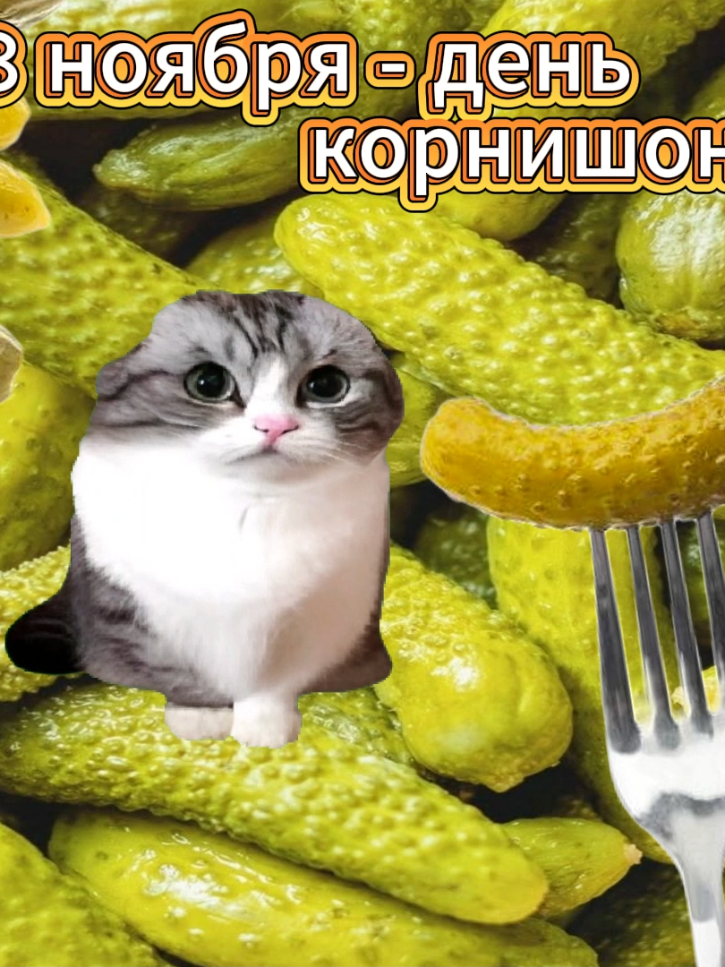 ТГК: @kamarfans 🥒🥒🥒🥒 #28ноября #дружбан #корнишон  @kumarcik69