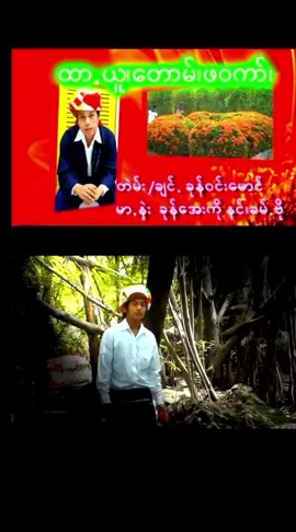 #ဖေအာပါနီသွဥ်းသီ #ပအိုဝ်ပေခမ်းဒွမ် #ပအိုဝ်းပေးဒျားသြ😘😘 #ဖေအားပါနော်🙏🏻 #ပအိုဝ်းသီချင်း😍 @Jack Fruit @ဟာသပေါင်းစုံ @🇬🇲khun win htay🇬🇲 @Pa Pa @🇬🇲chit_chit_zaw⭐ @ส้มโอส้มโอ @ငါအချစ်ကဝိုင်းဝိုင်းလည် @ကိုကျော်ြကီး @ပအိုပ္ မူေပ @nan war @ကော့ကဒါသား ❤️😍 @ကော့ကဒါ ပအိုဝ့်ပေ @ခွန်အားဖြစ်စေမယ့်စာတိုများ @ဇတ်လိုက် @ထာ့ရက် မဲ့ထီ @Khun Zin Win @phyu Sin @Myint Aye San. @Nan War War Oo @Zin Mee Than @Nan ei ei Zin @ကညံခွါးတဟဲ့ဝီး @รดา 