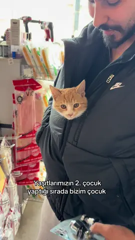 En güzel bebek sensin Çitos 🥹🫠 #kesfet #catsoftiktok #fy #cat #evlilik 