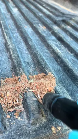 Sucking Up The Dirt! 🔥 #detailing #cardetailing #satisfying #CleanTok #satisfyingvideos 