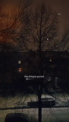 mùa Đông là quá lạnh để có thể chia tay vì mùa Đông rất cần có đôi vòng tay #nhactamtrang #🇻🇳🇩🇪 #nhachaymoingay #muaxanhau #xh 
