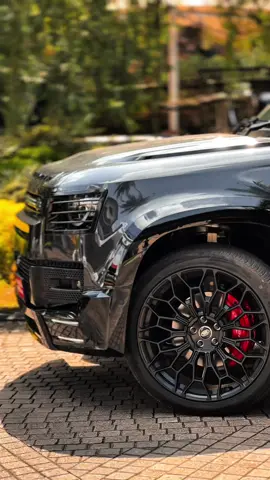 දෙව්පුර ඇතෙකී! 🐘🩶🇱🇰 #viral #foryou #defendermania6666 #defender130 #fyp 