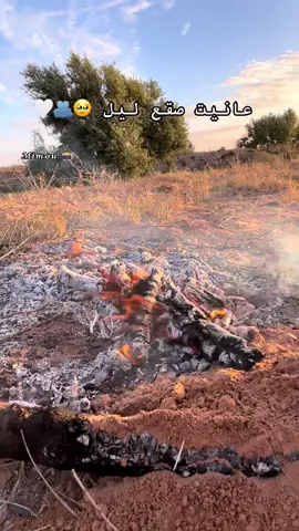 #البساطة_سر_السعاده #fyp #tik_tok_travel #discover_tunisia #explore 